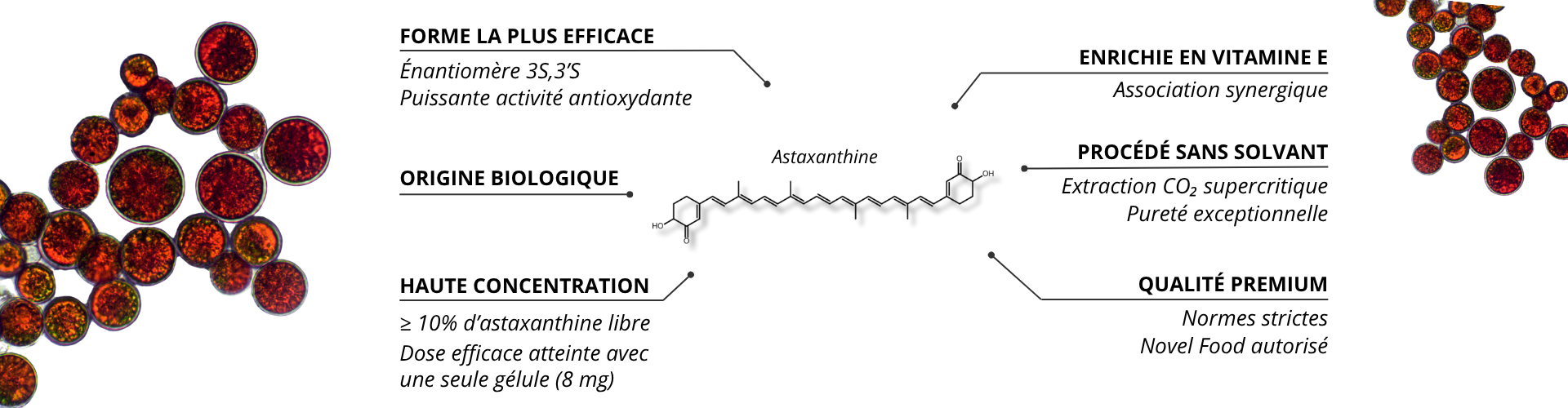 Pourquoi choisir vitaxanthine